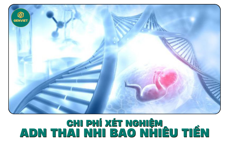 chi-phi-xet-nghiem-adn-thai-nhi-bao-nhieu-tien