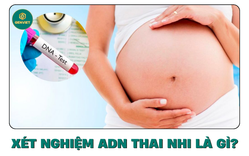 xet-nghiem-adn-thai-nhi-la-gi