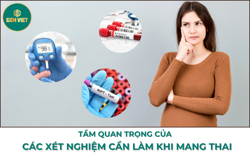 tam-quan-trong-cua-cac-xet-nghiem-can-lam-khi-mang-thai