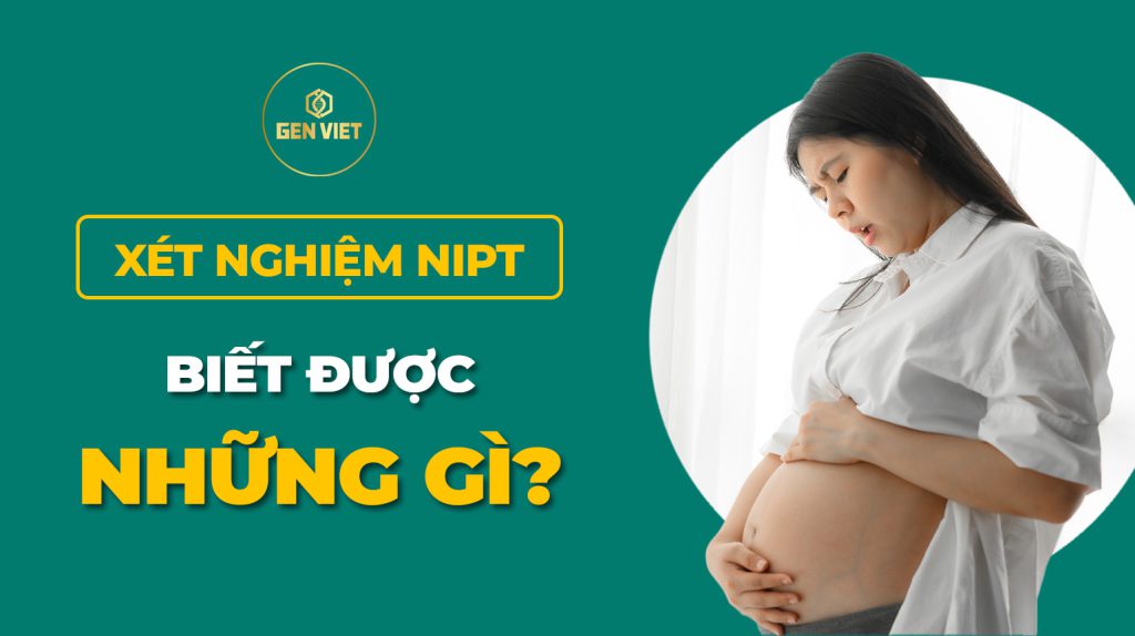 Xét nghiệm NIPT biết được những gì?