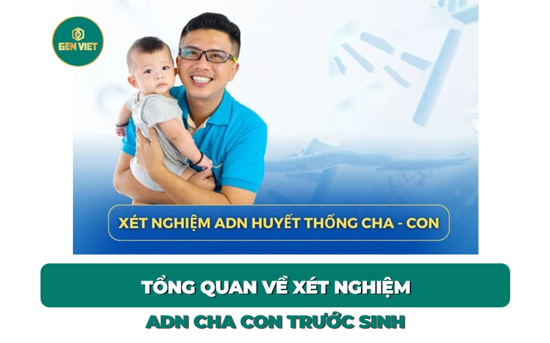 tong-quan-ve-xet-nghiem-adn-cha-con-truoc-sinh