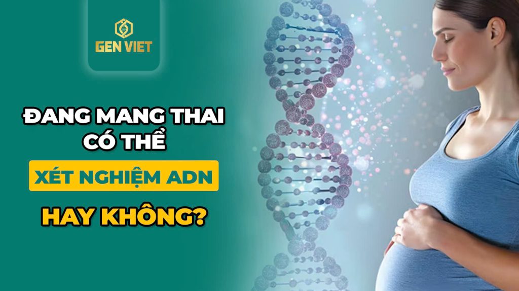 dang-mang-thai-co-the-lam-xet-nghiem-adn-duoc-khong