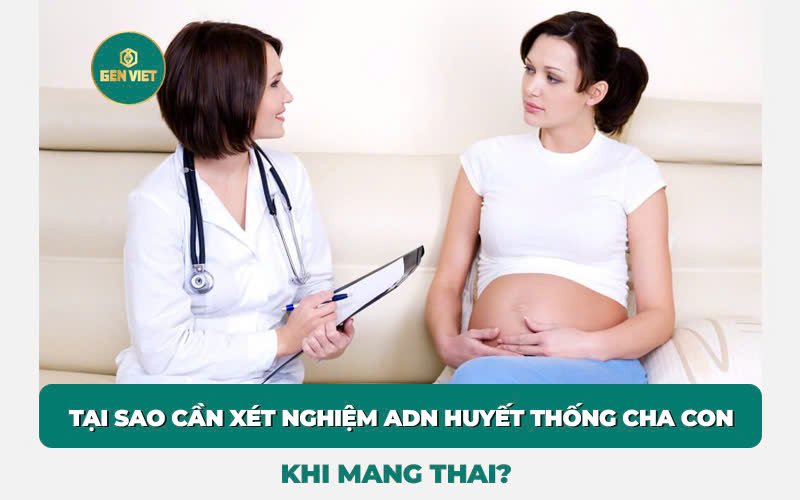 tai-sao-can-xet-nghiem-adn-huyet-thong-khi-mang-thai