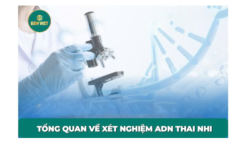 tong-quan-ve-xet-nghiem-adn-thai-nhi