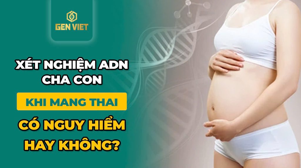 xet-nghiem-adn-cha-con-khi-mang-thai-co-nguy-hiem-hay-khong