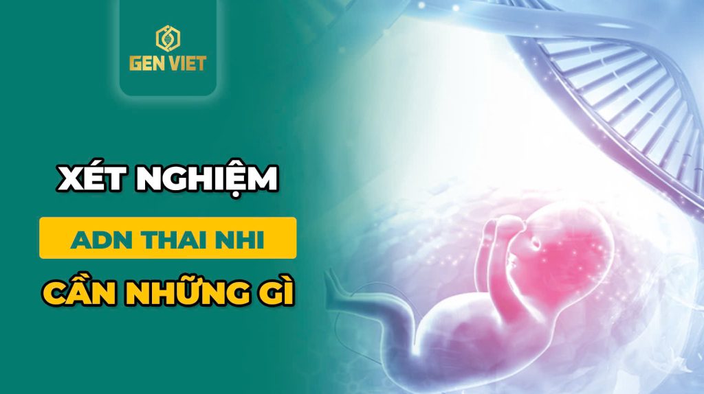 Xét nghiệm ADN thai nhi cần những gì?