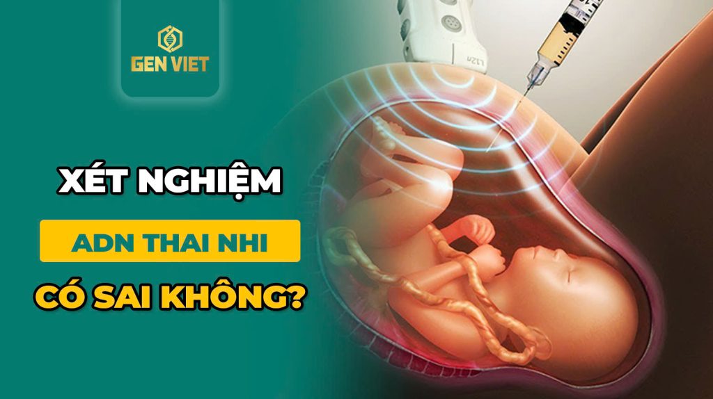 Xét nghiệm ADN thai nhi có khi nào sai không?