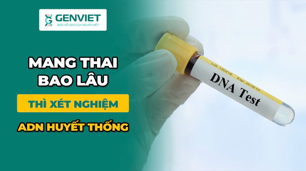 Mẹ nên xét nghiệm ADN khi mang thai ở tuần bao nhiêu?