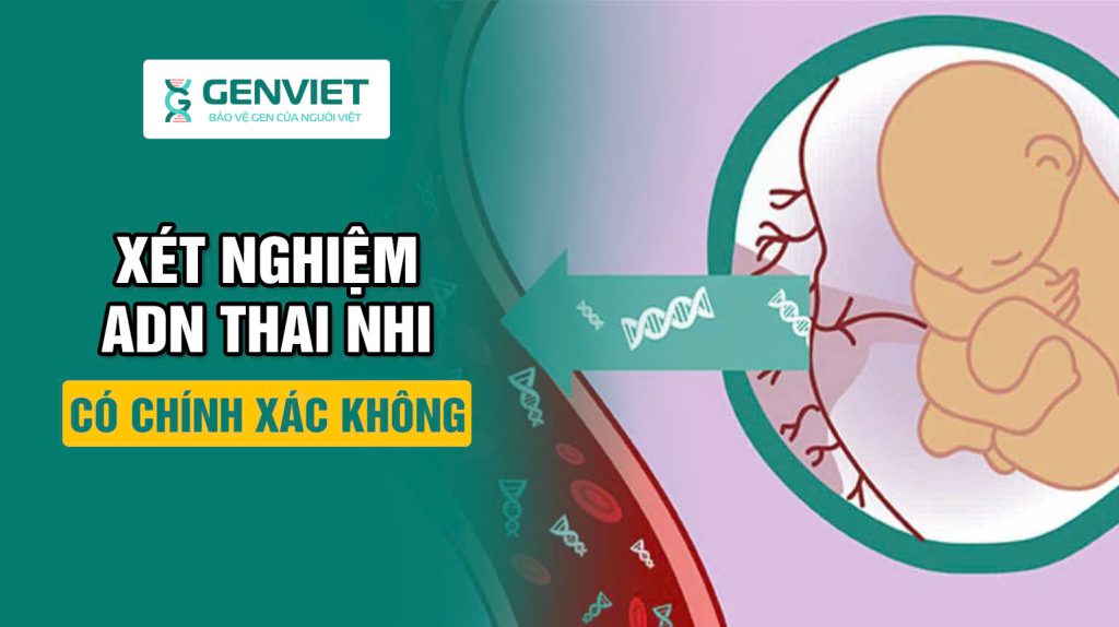 Phương pháp xét nghiệm ADN thai nhi có chính xác không?