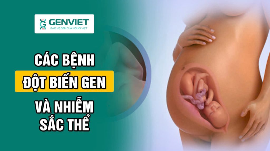 Các bệnh liên quan đến đột biến gen và nhiễm sắc thể