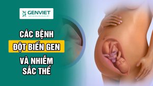 cac-benh-dot-bien-gen-va-nhiem-sac-the