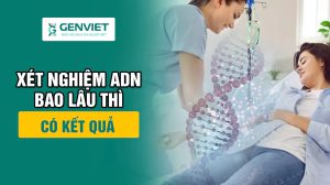 Xét nghiệm ADN thai nhi bao lâu có kết quả?