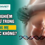 xet-nghiem-adn-tu-trong-bung-me-co-duoc-khong